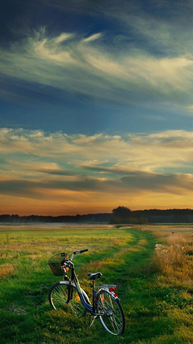 Green Grass Field Under Cloudy Sky During Daytime. Wallpaper in 750x1334 Resolution