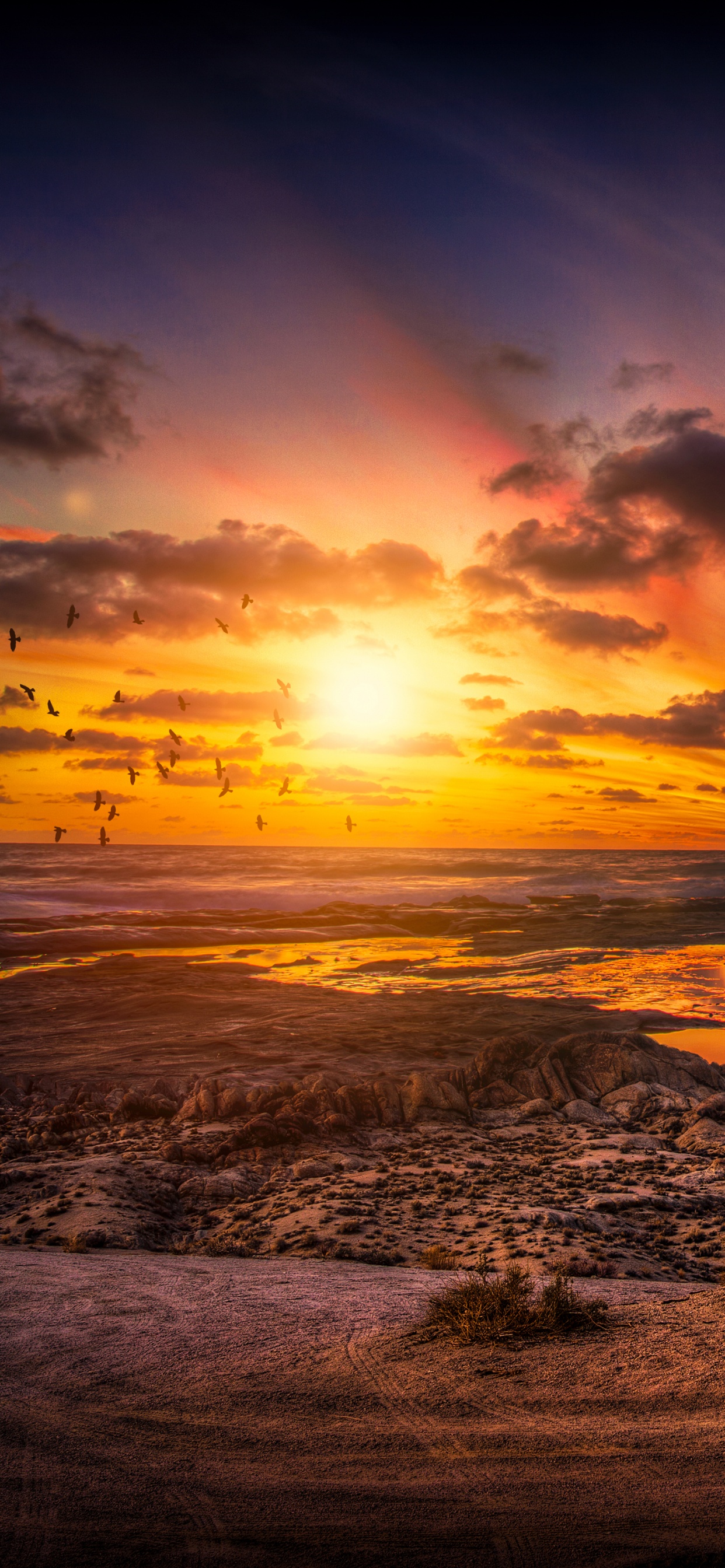 Brown Rock Formation on Sea Shore During Sunset. Wallpaper in 1242x2688 Resolution