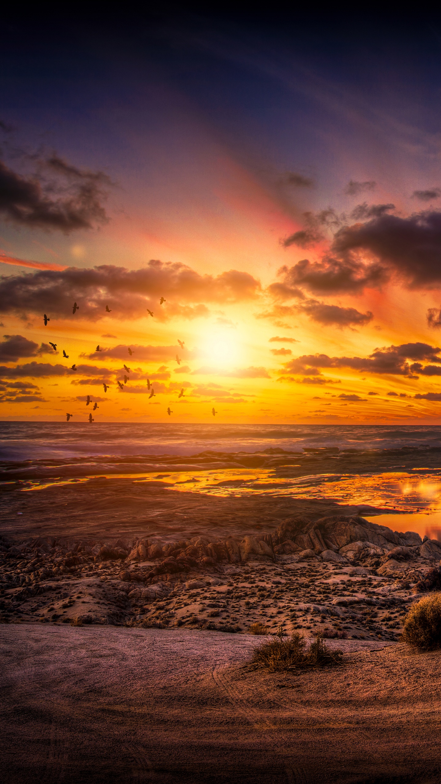 Formation de Roche Brune Sur le Bord de Mer Pendant le Coucher du Soleil. Wallpaper in 1440x2560 Resolution