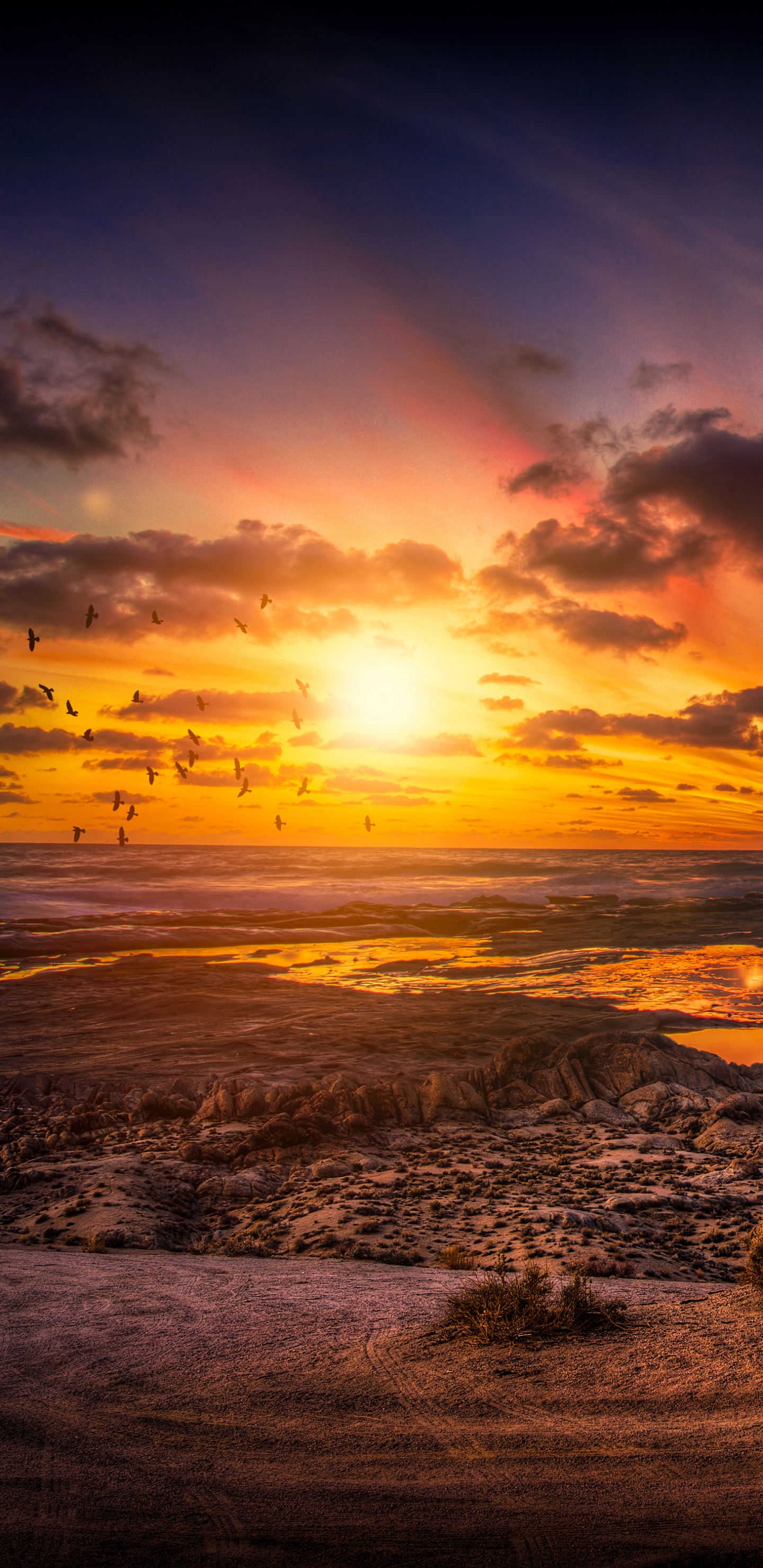 Formation de Roche Brune Sur le Bord de Mer Pendant le Coucher du Soleil. Wallpaper in 1440x2960 Resolution