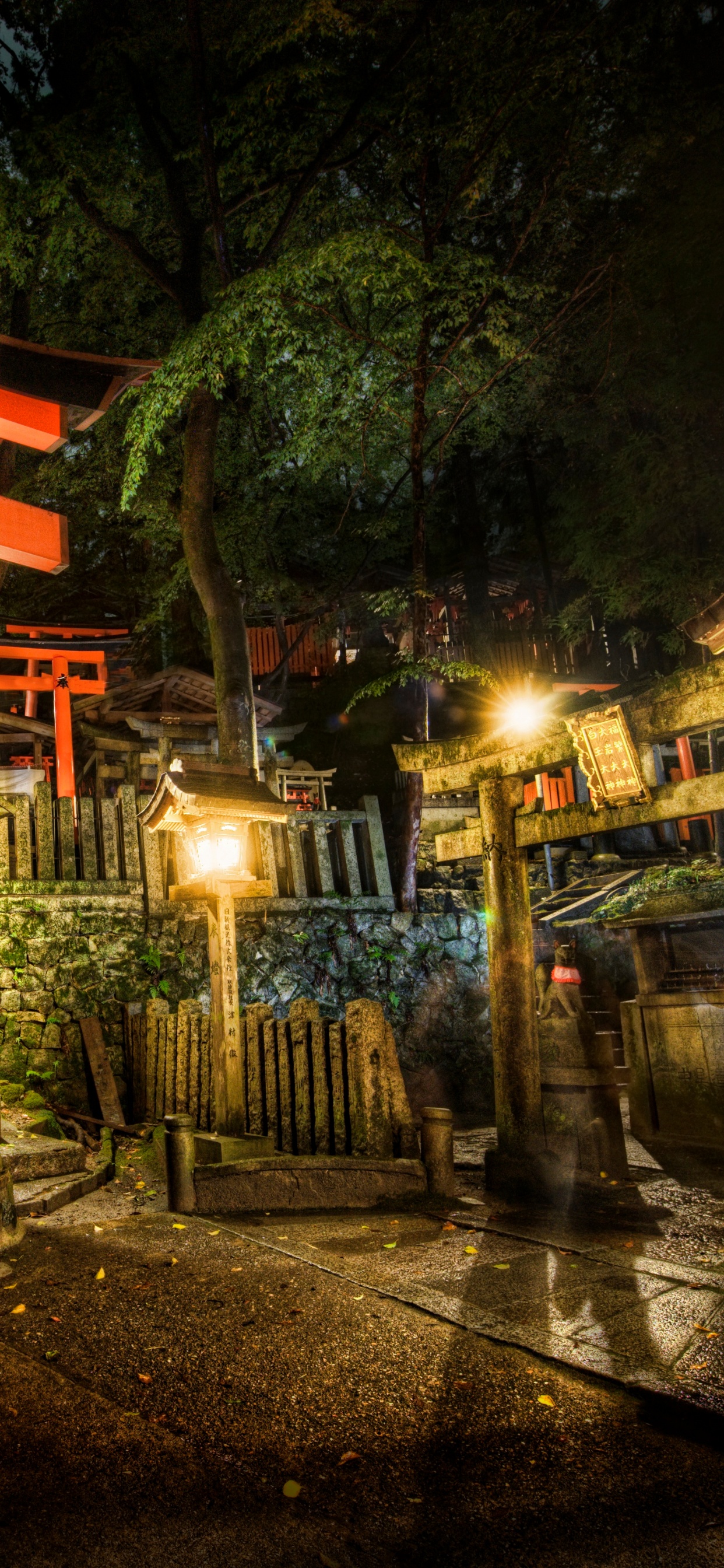 日本, 寺庙, 神殿, 旅游景点, 晚上 壁纸 1242x2688 允许