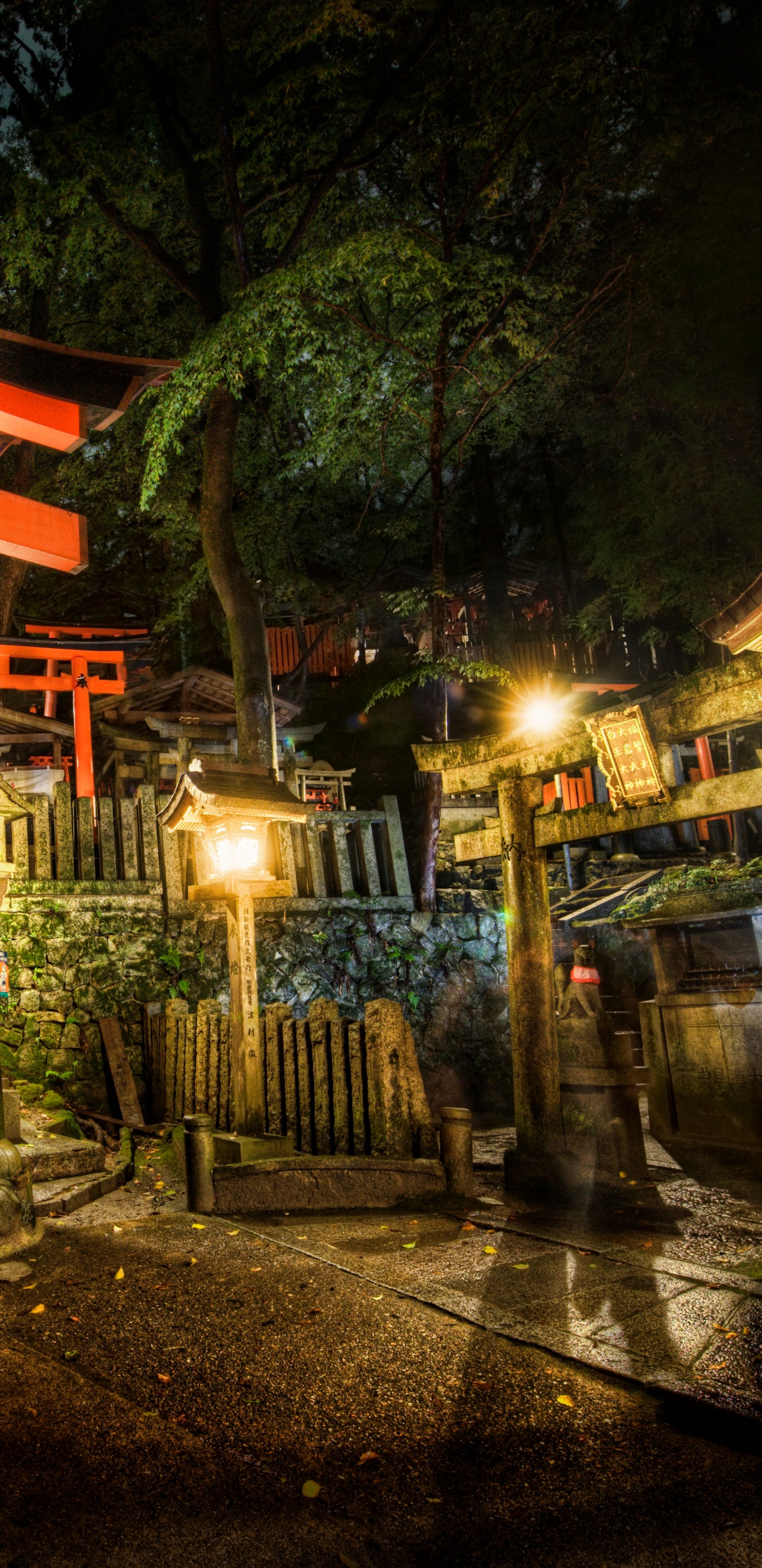 日本, 寺庙, 神殿, 旅游景点, 晚上 壁纸 1440x2960 允许