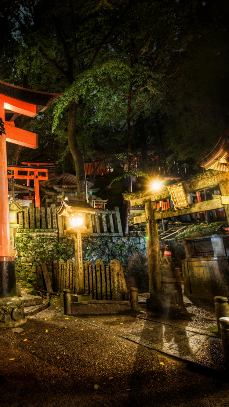 日本, 寺庙, 神殿, 旅游景点, 晚上 壁纸 750x1334 允许