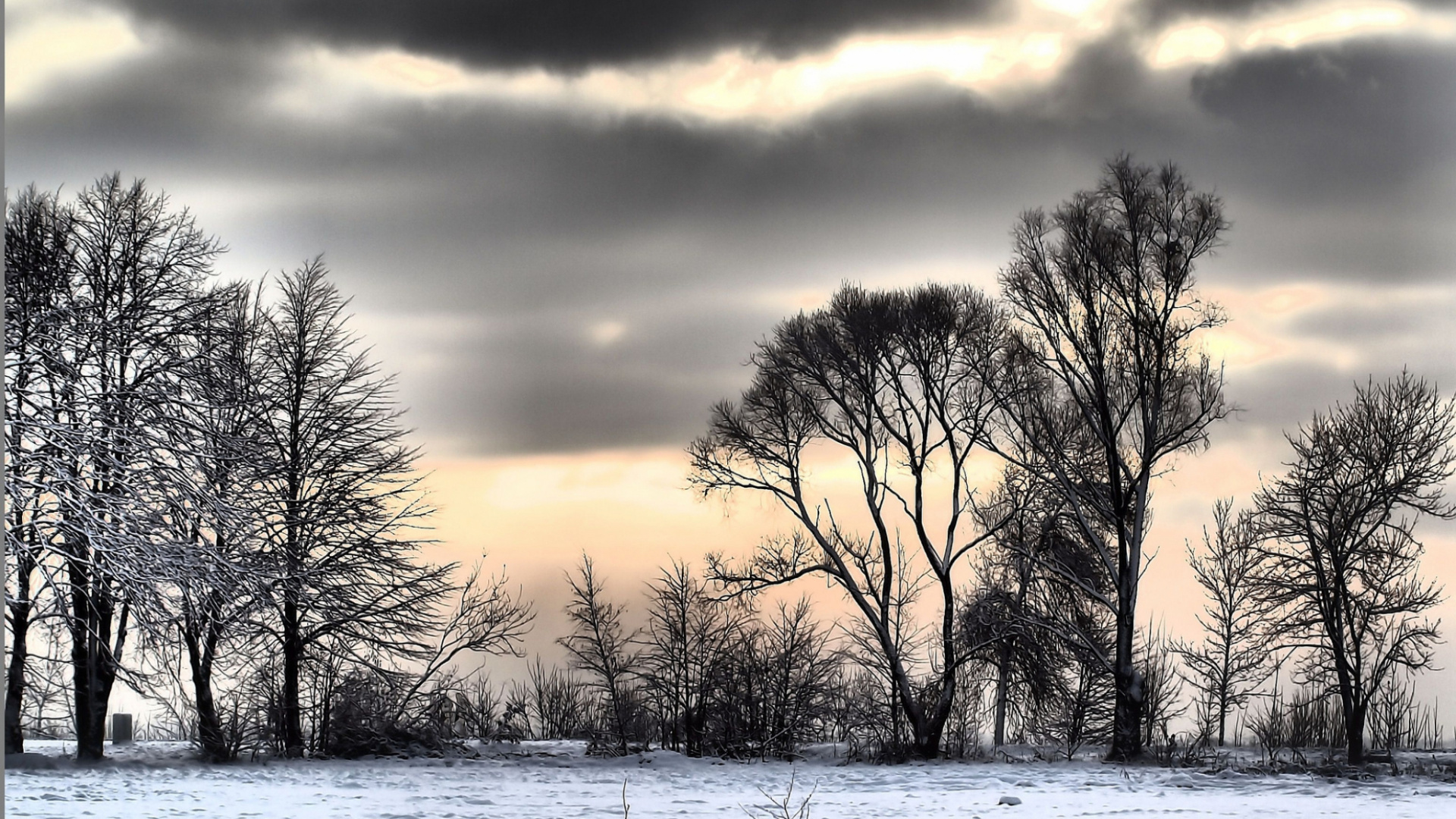 Leafless Trees on Snow Covered Ground During Sunset. Wallpaper in 1920x1080 Resolution