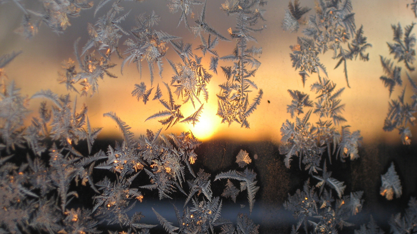 Winter, Snow, Frost, Sunlight, Morning. Wallpaper in 1366x768 Resolution