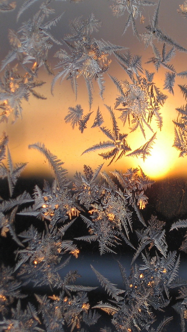 Winter, Snow, Frost, Sunlight, Morning. Wallpaper in 720x1280 Resolution