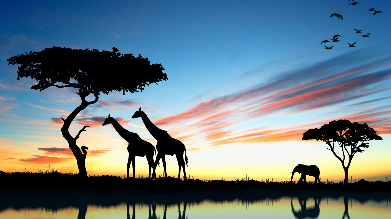 Silhouette de Personnes à Cheval Pendant le Coucher du Soleil. Wallpaper in 1366x768 Resolution