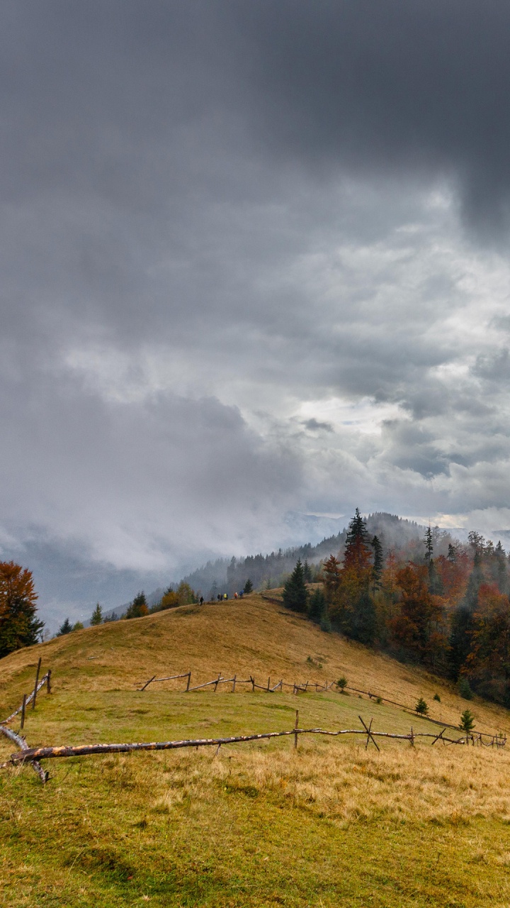 Cloud, Plant, Natural Landscape, Mountain, Tree. Wallpaper in 720x1280 Resolution