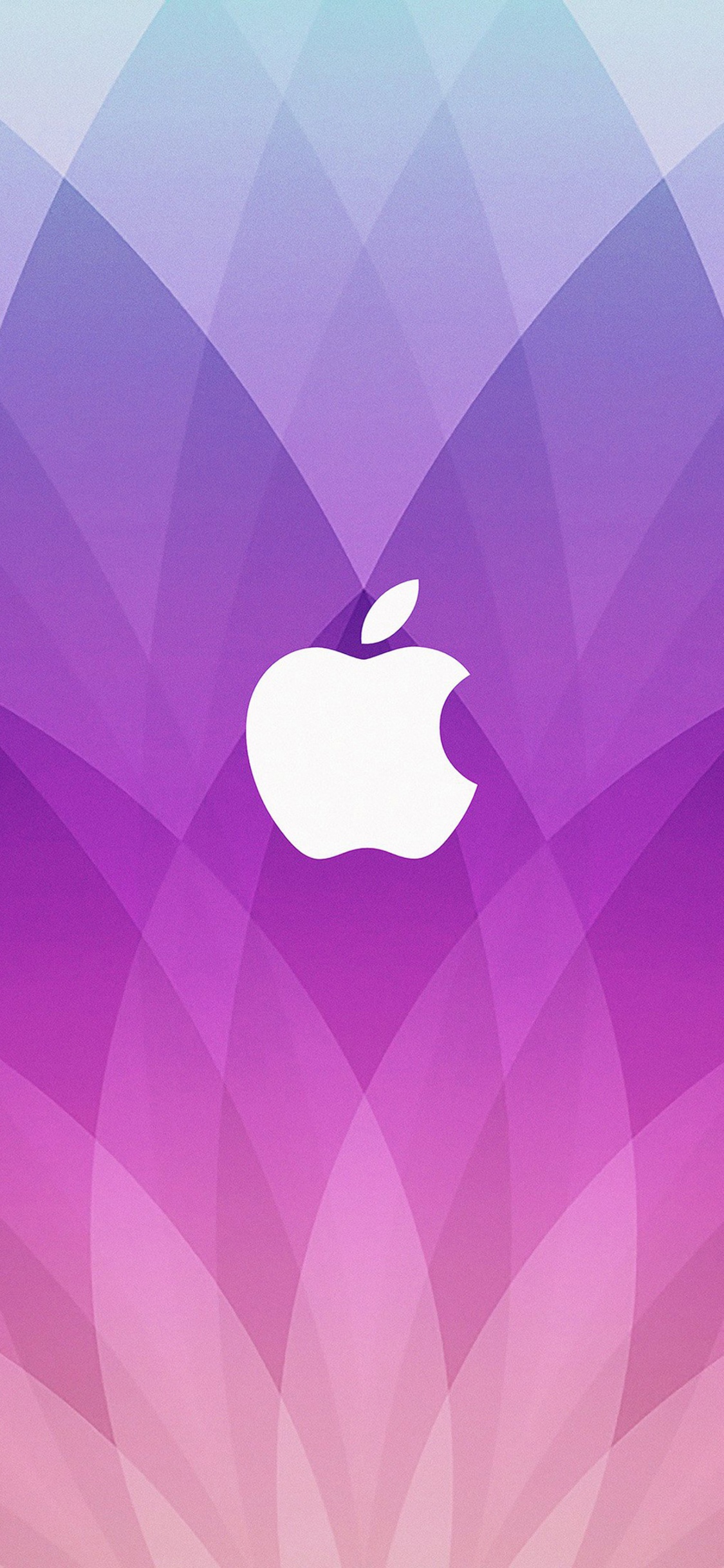 Purple and Black Apple Logo. Wallpaper in 1125x2436 Resolution