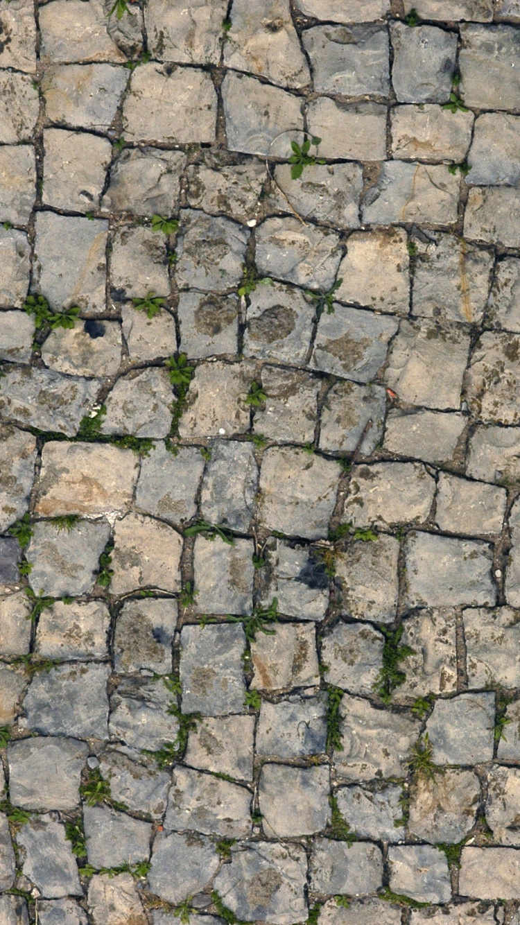 Pared de Ladrillo Verde y Gris. Wallpaper in 750x1334 Resolution