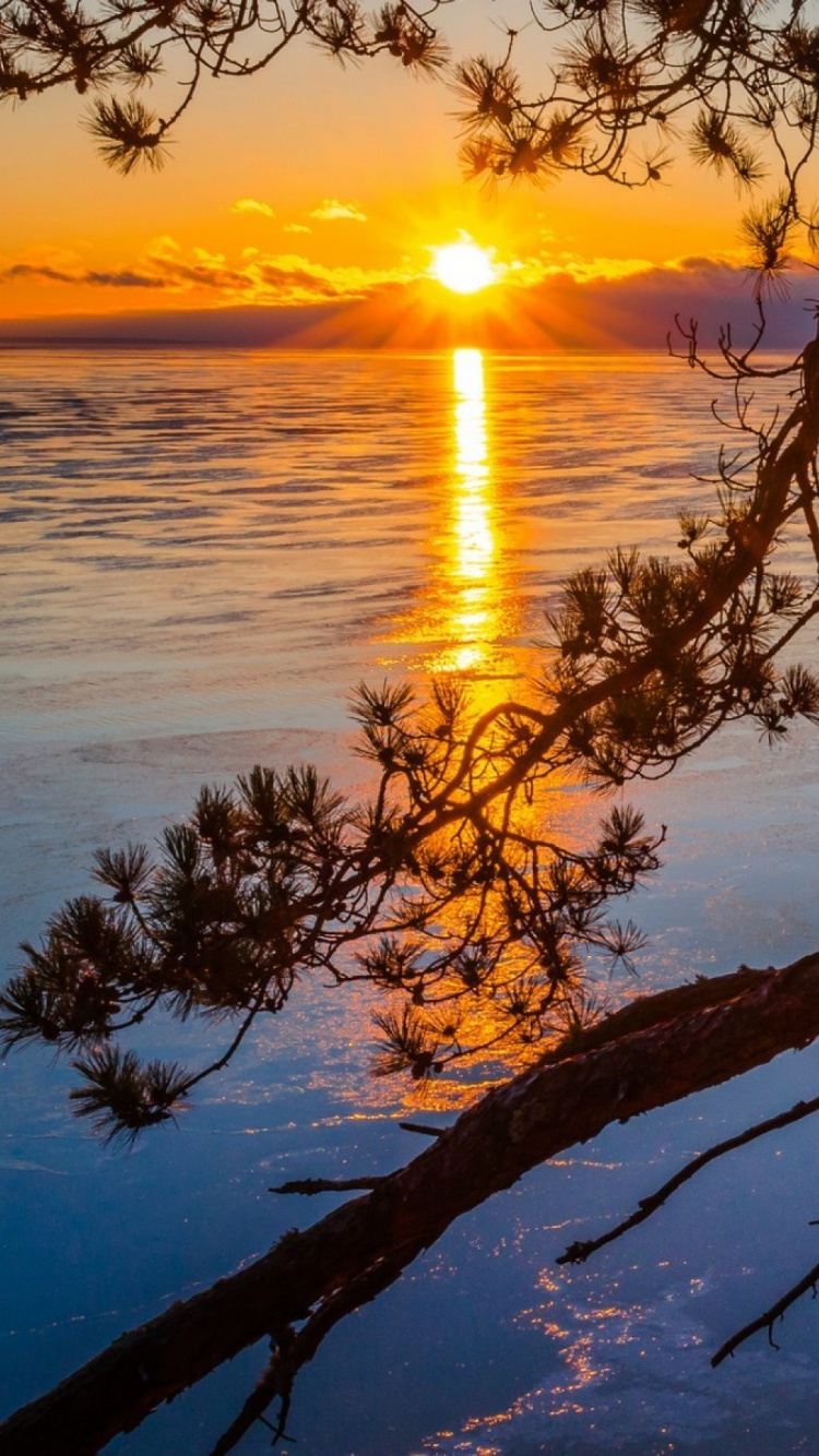 Tronc D'arbre Brun Sur un Plan D'eau Bleu Pendant le Coucher du Soleil. Wallpaper in 750x1334 Resolution