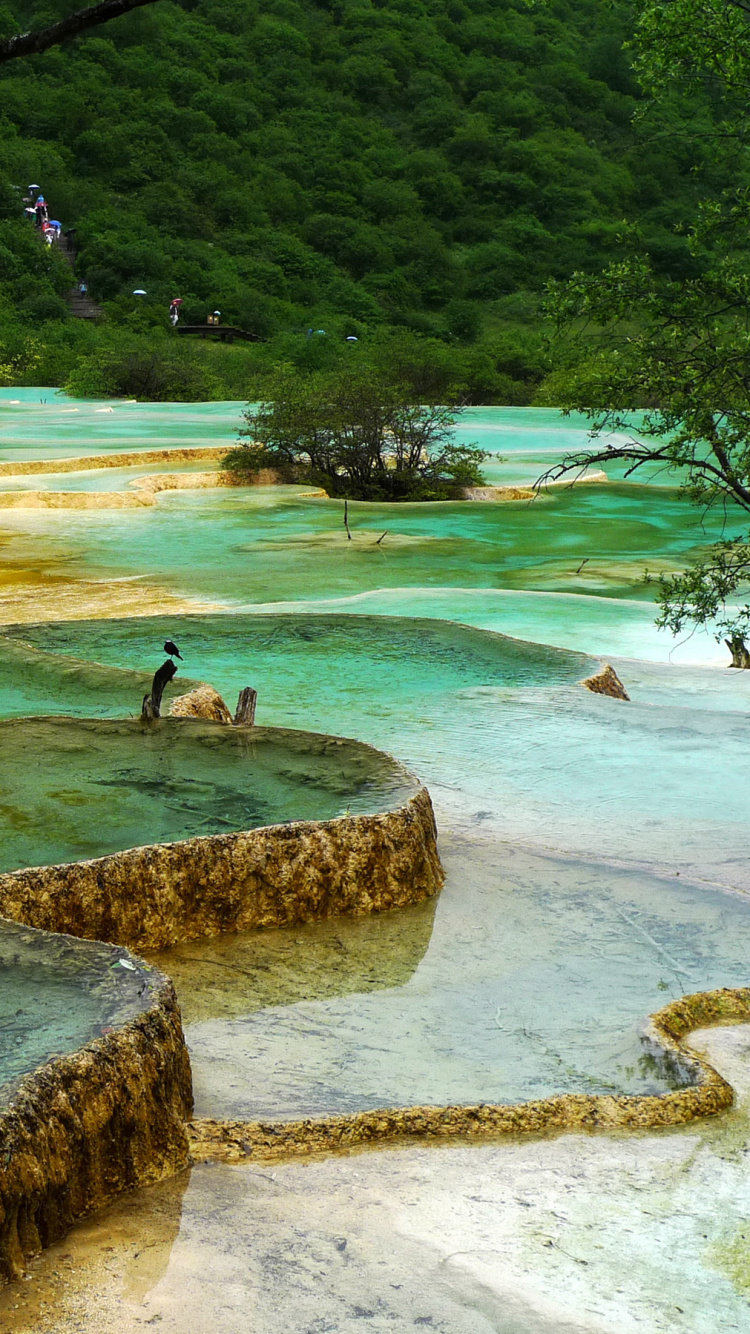 Woman in Black Shirt and Black Pants Standing on Rock Near Body of Water During Daytime. Wallpaper in 750x1334 Resolution