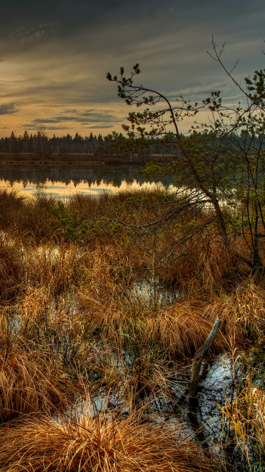 Brown Grass Near Body of Water During Sunset. Wallpaper in 1080x1920 Resolution