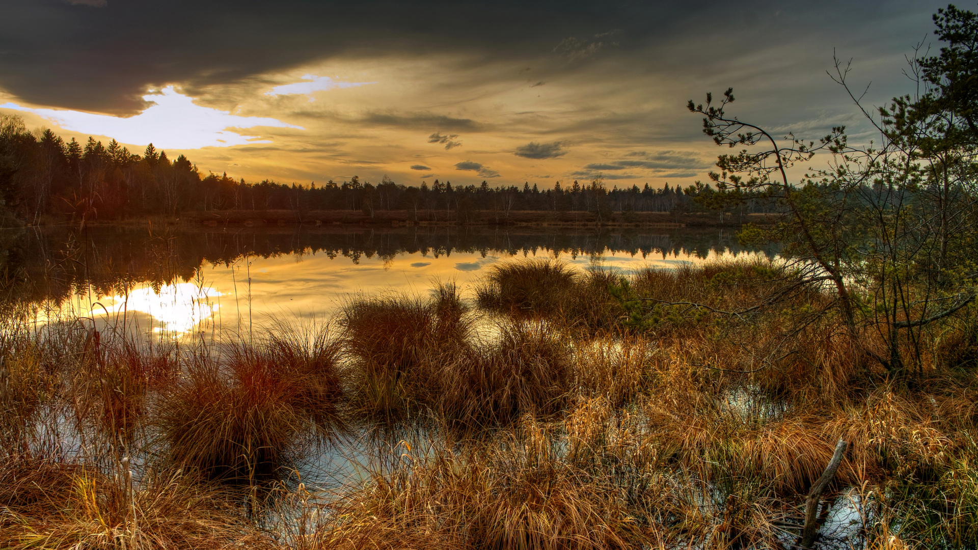 Brown Grass Near Body of Water During Sunset. Wallpaper in 1920x1080 Resolution