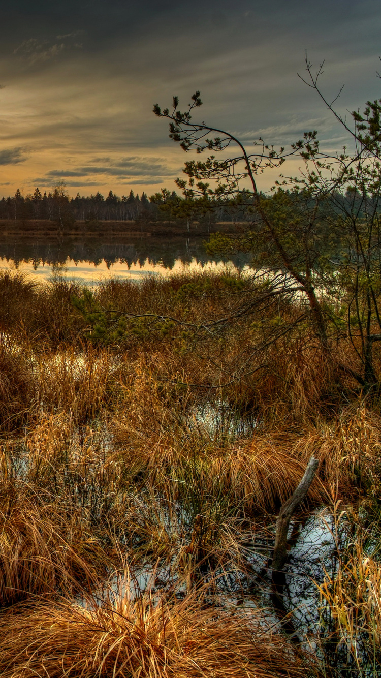 Brown Grass Near Body of Water During Sunset. Wallpaper in 750x1334 Resolution