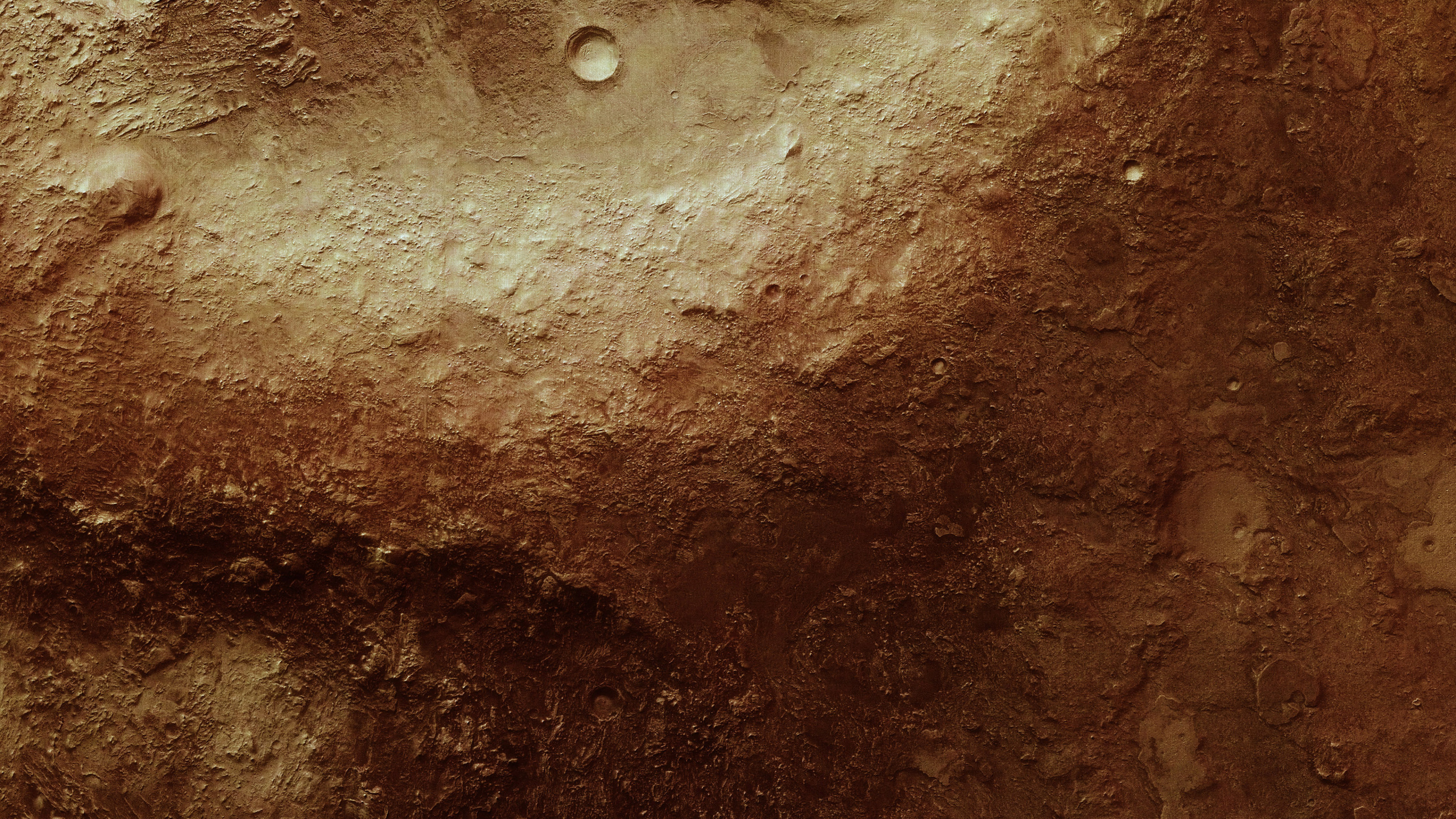 Wassertau Auf Brauner Oberfläche. Wallpaper in 2560x1440 Resolution