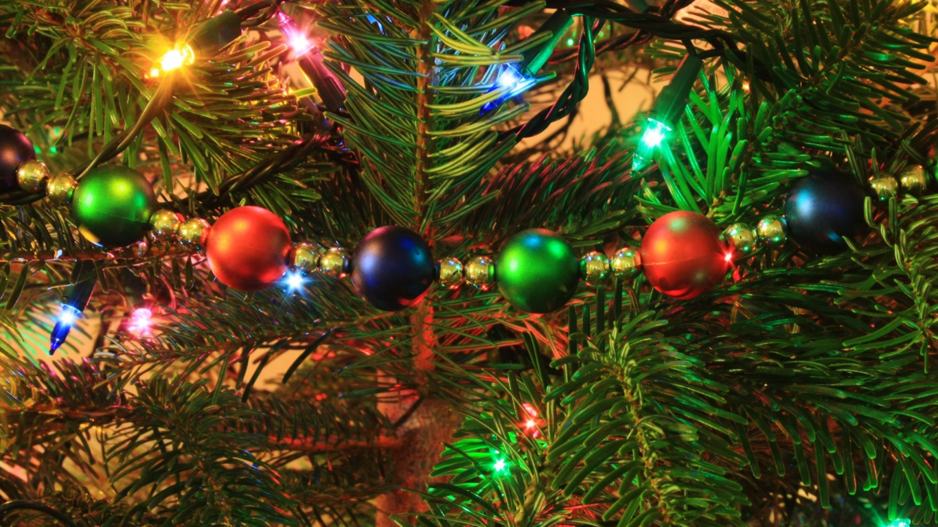 Immergrün, Christmas Ornament, Baum, Weihnachtsbaum, Weihnachtsdekoration. Wallpaper in 1366x768 Resolution