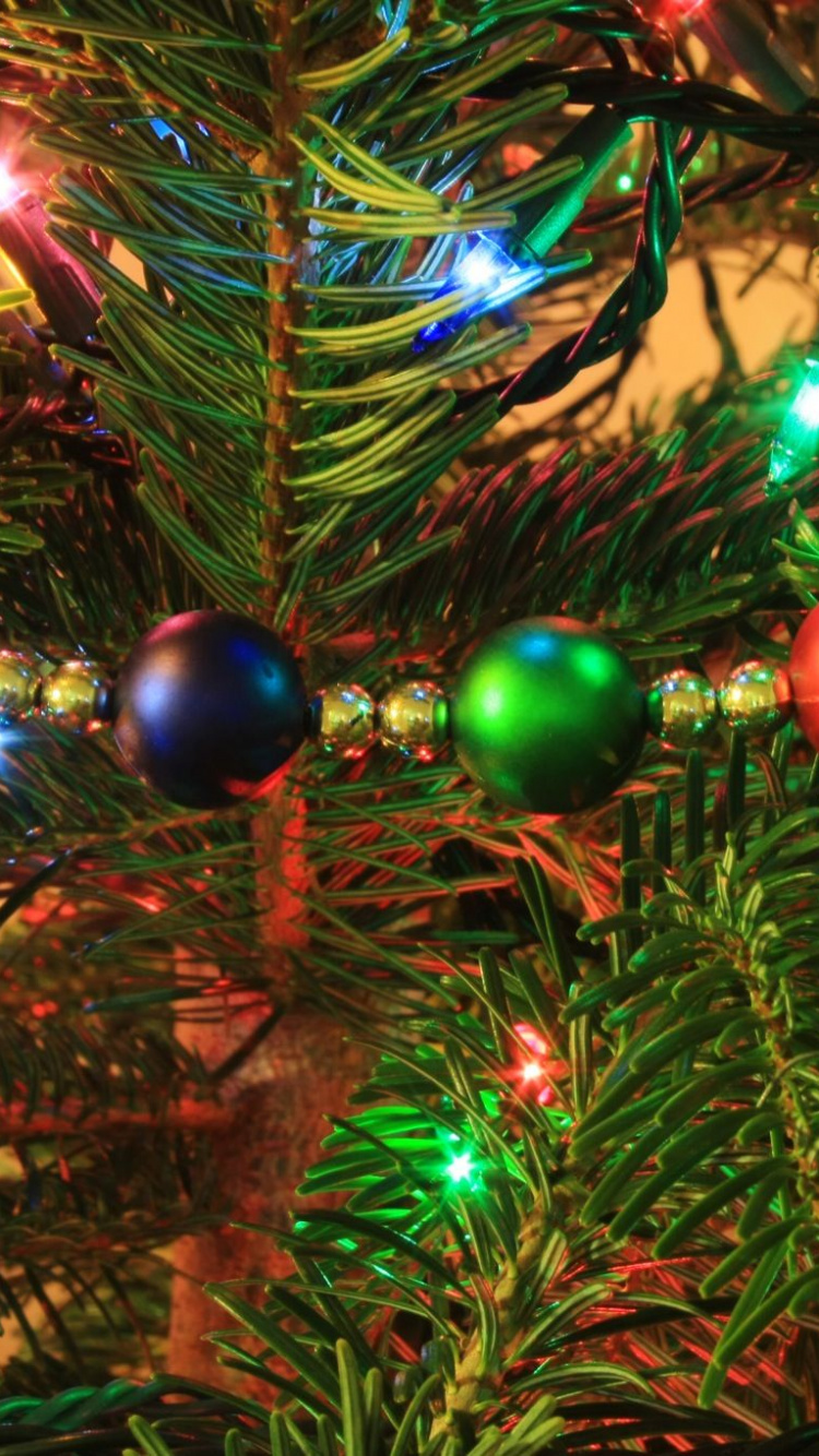 Immergrün, Christmas Ornament, Baum, Weihnachtsbaum, Weihnachtsdekoration. Wallpaper in 750x1334 Resolution