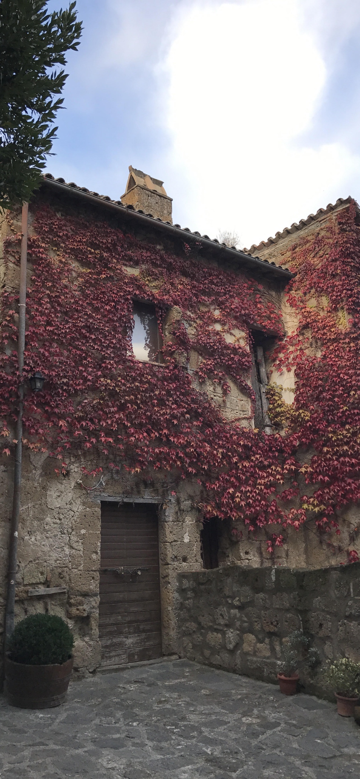 Bâtiment en Briques Brunes Près Des Arbres Verts Pendant la Journée. Wallpaper in 1242x2688 Resolution