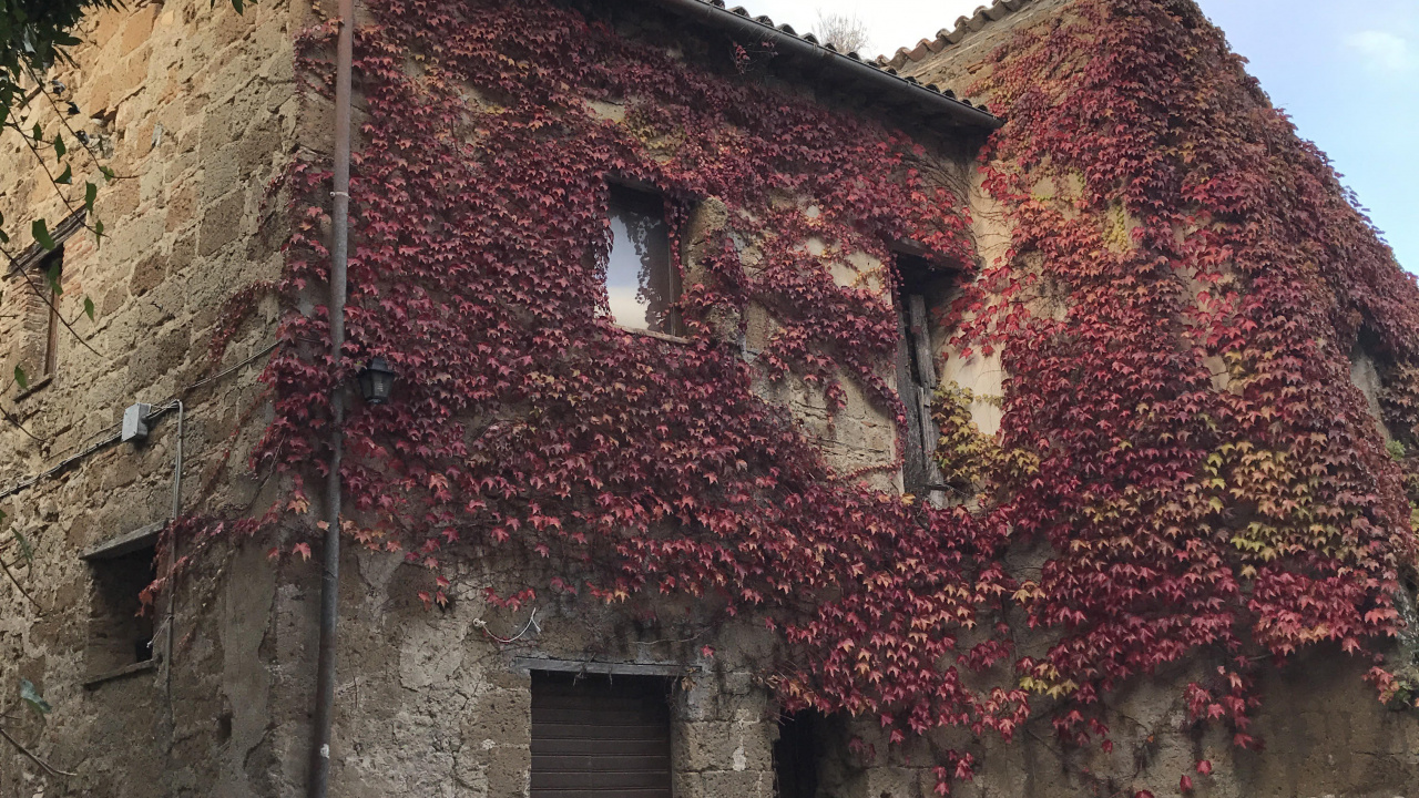Brown Brick Building Near Green Trees During Daytime. Wallpaper in 1280x720 Resolution