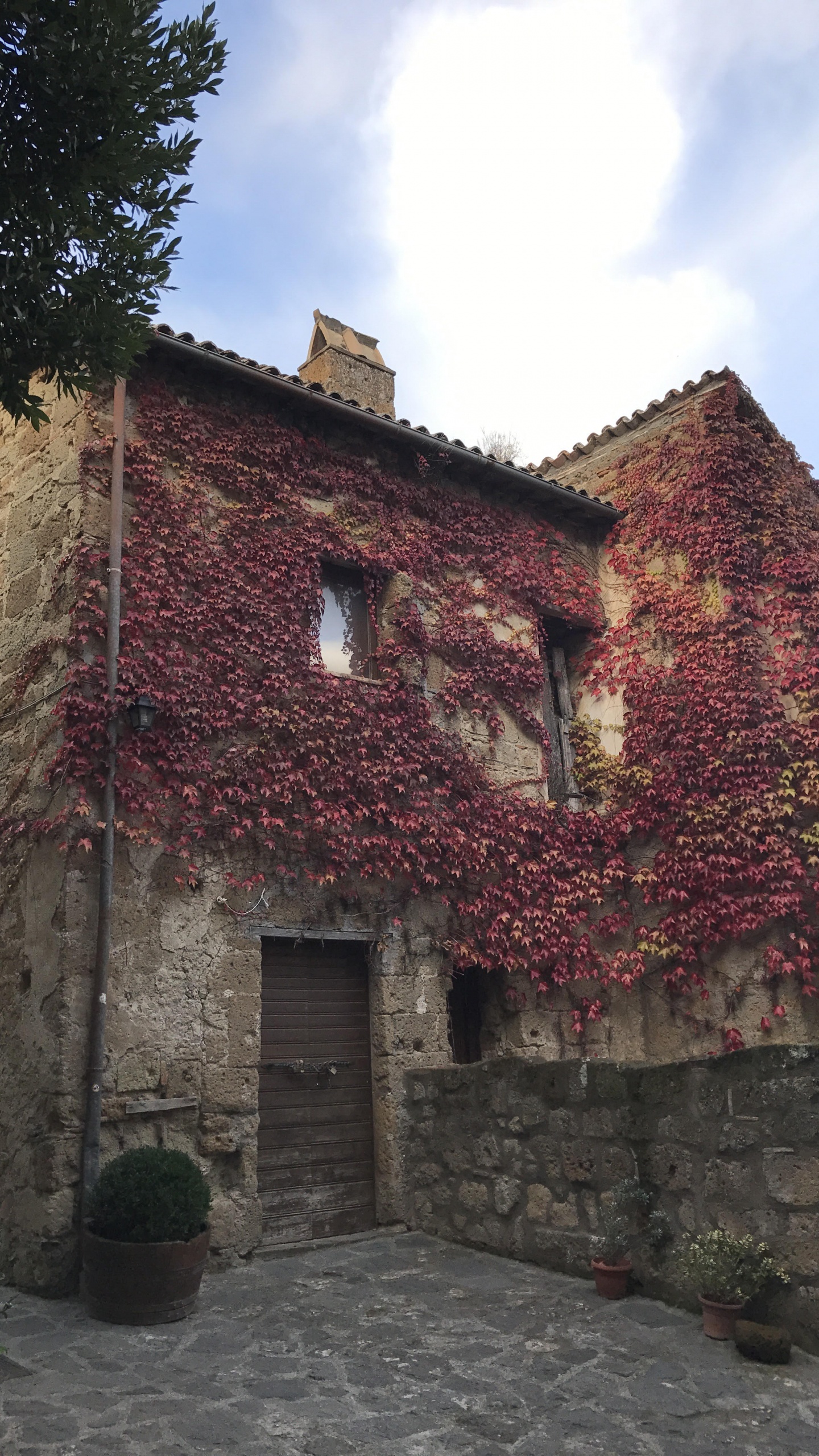 Brown Brick Building Near Green Trees During Daytime. Wallpaper in 1440x2560 Resolution