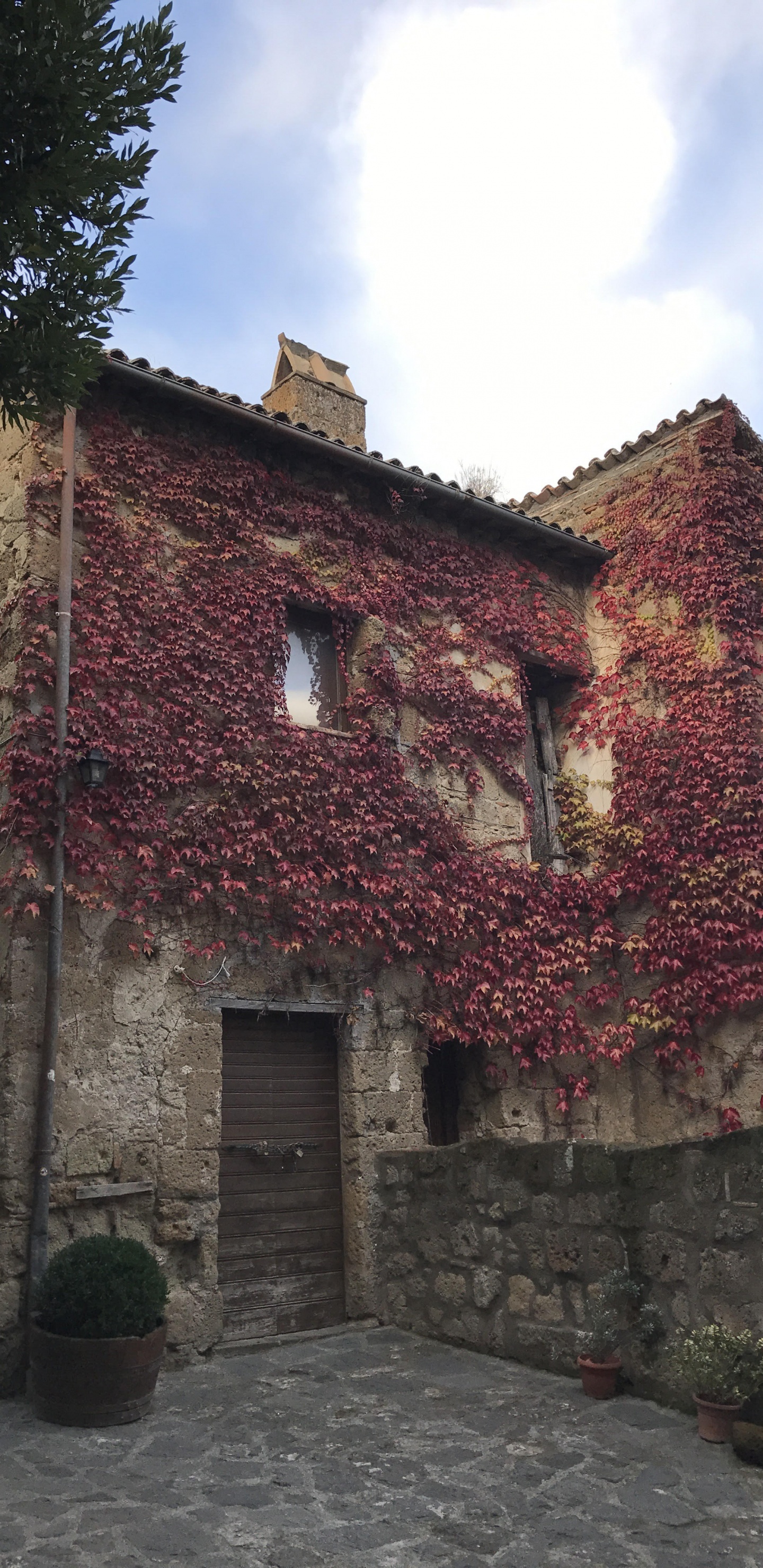 Brown Brick Building Near Green Trees During Daytime. Wallpaper in 1440x2960 Resolution