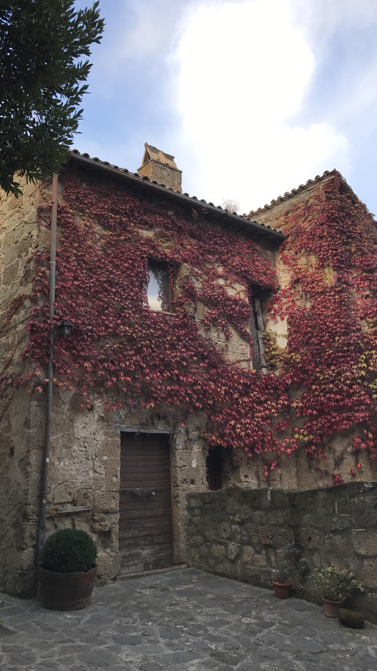 Brown Brick Building Near Green Trees During Daytime. Wallpaper in 750x1334 Resolution