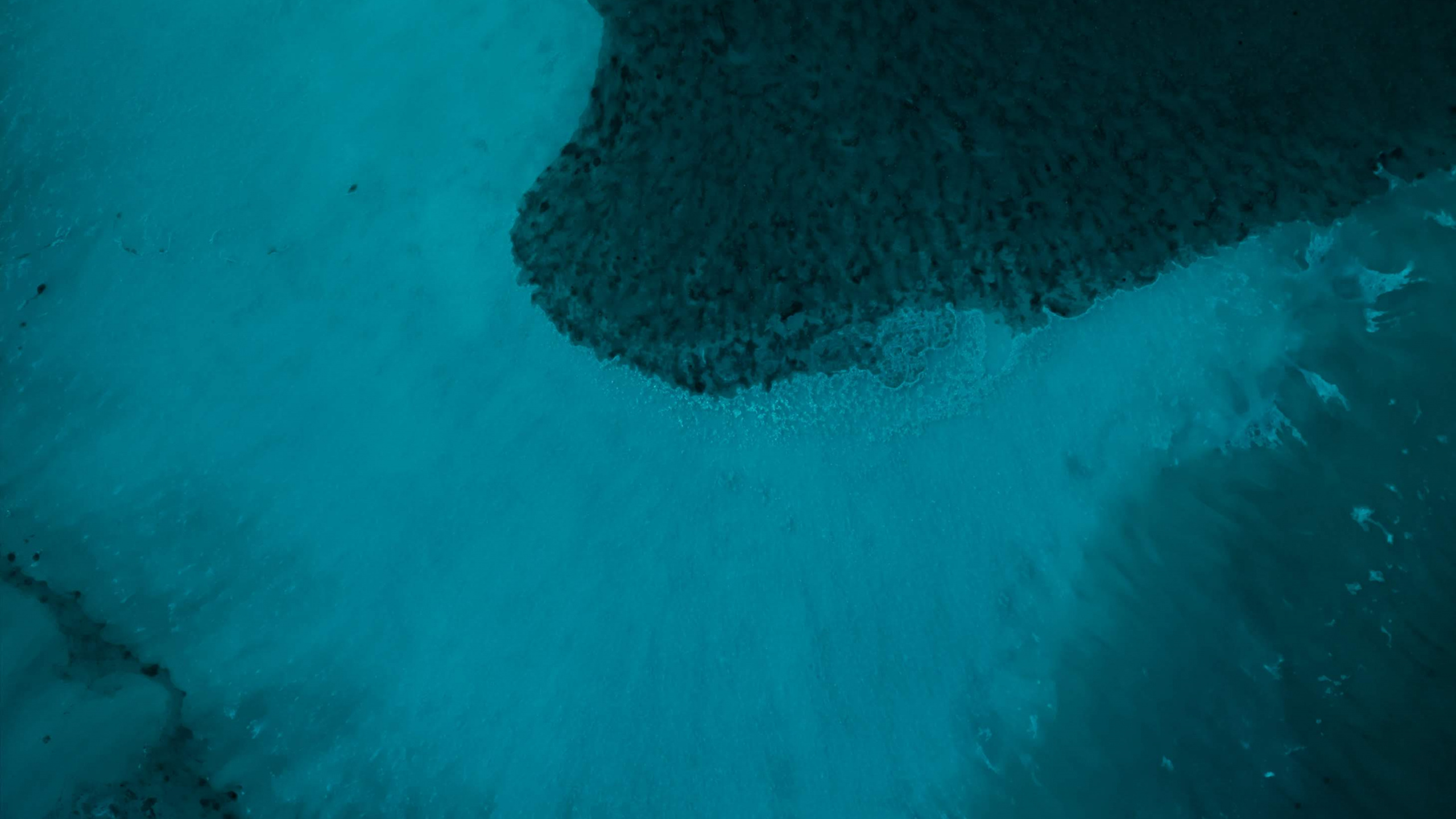 Microsoft Surface, 表面, Surface Pro 6, 水面书2, Surface Pro 壁纸 2560x1440 允许