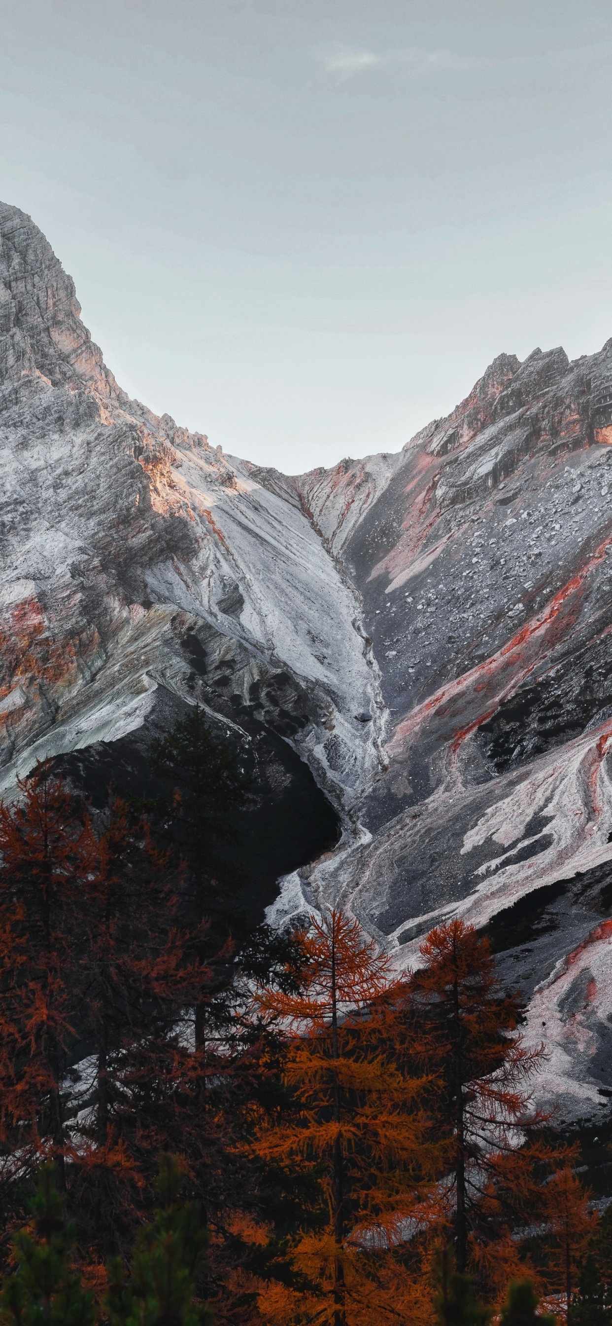 荒野, 自然景观, 斜坡, 落叶松, 高地 壁纸 1242x2688 允许