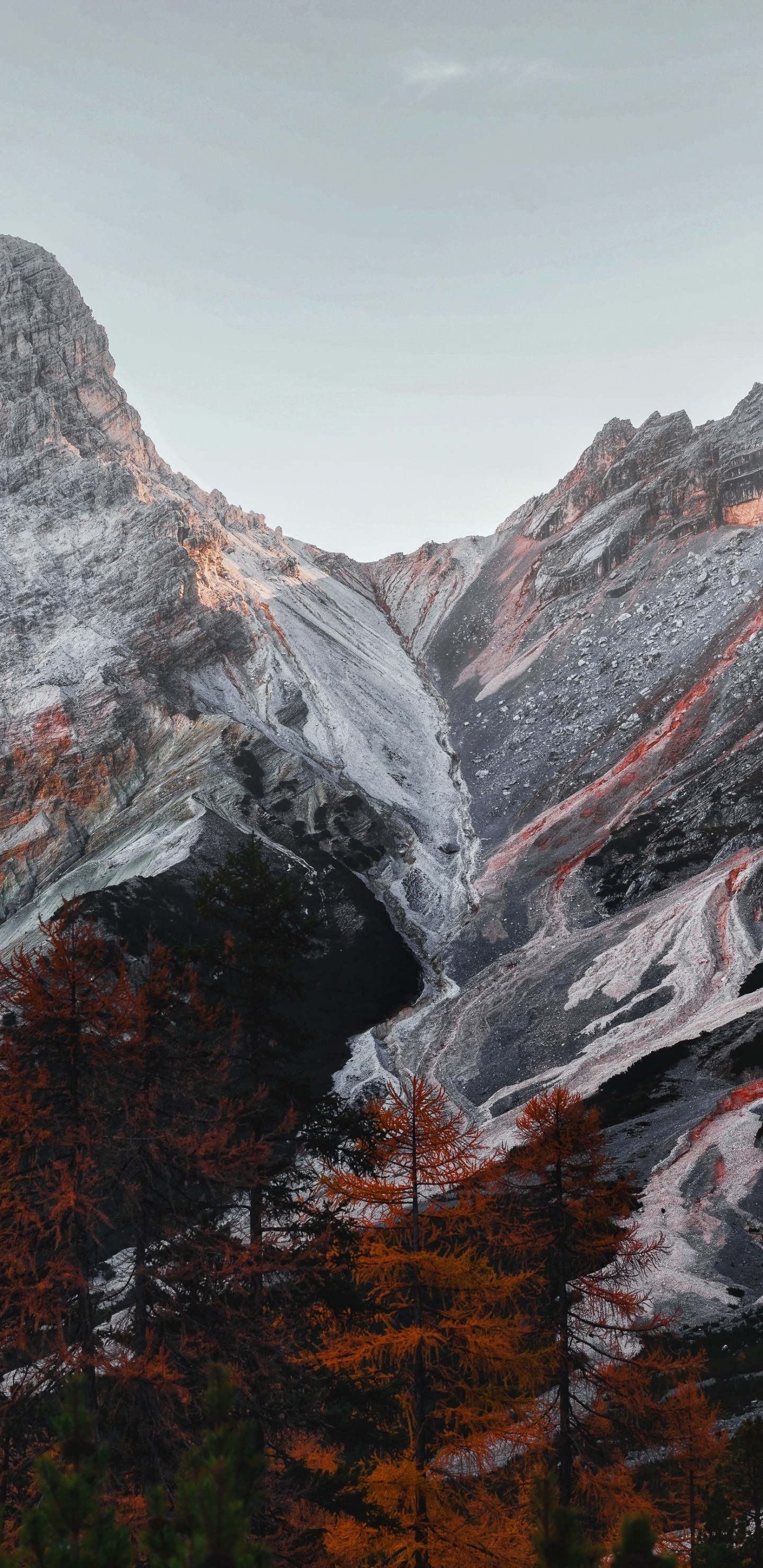 荒野, 自然景观, 斜坡, 落叶松, 高地 壁纸 1440x2960 允许