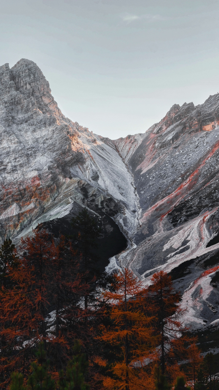 Wildnis, Naturlandschaft, Piste, Lärche, Hochland. Wallpaper in 750x1334 Resolution