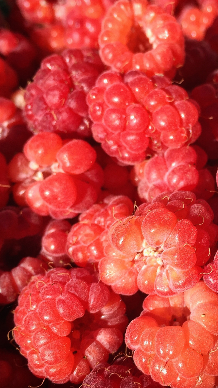Pink Round Fruits in Close up Photography. Wallpaper in 750x1334 Resolution