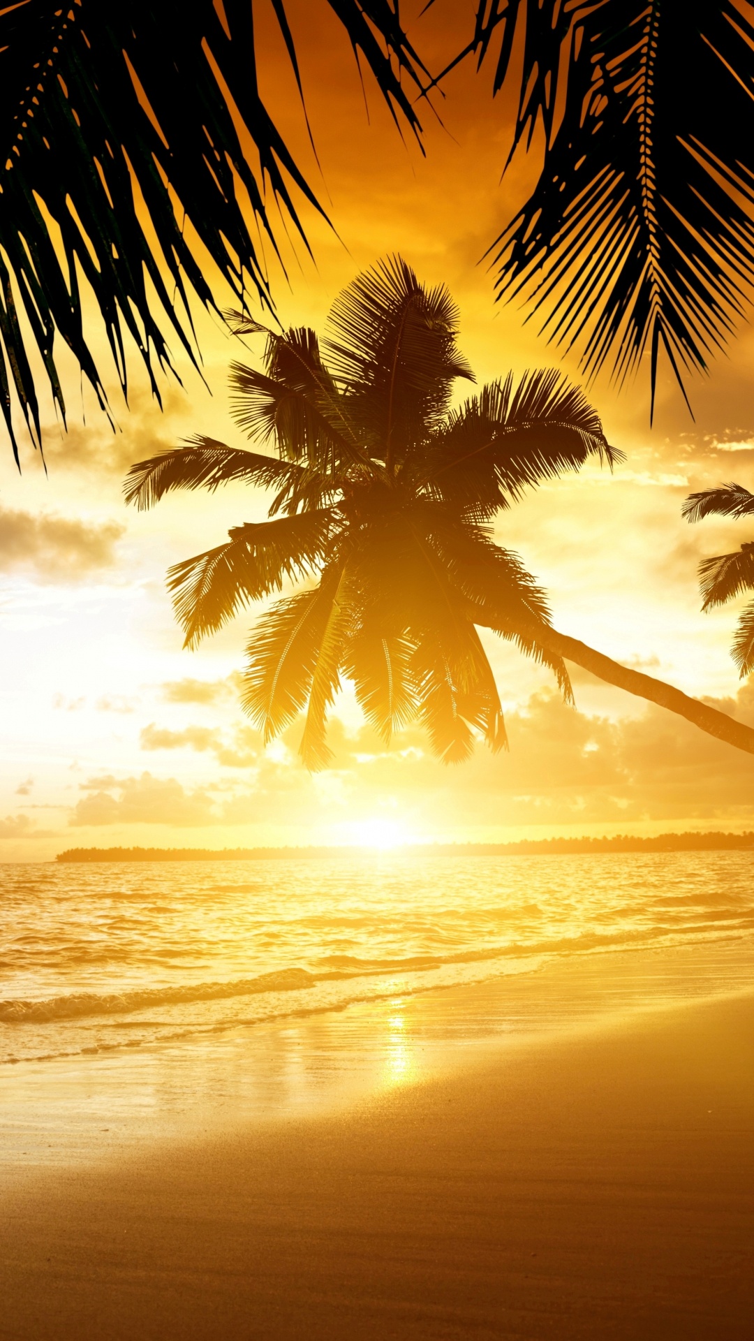 Coconut Tree Near Sea During Sunset. Wallpaper in 1080x1920 Resolution