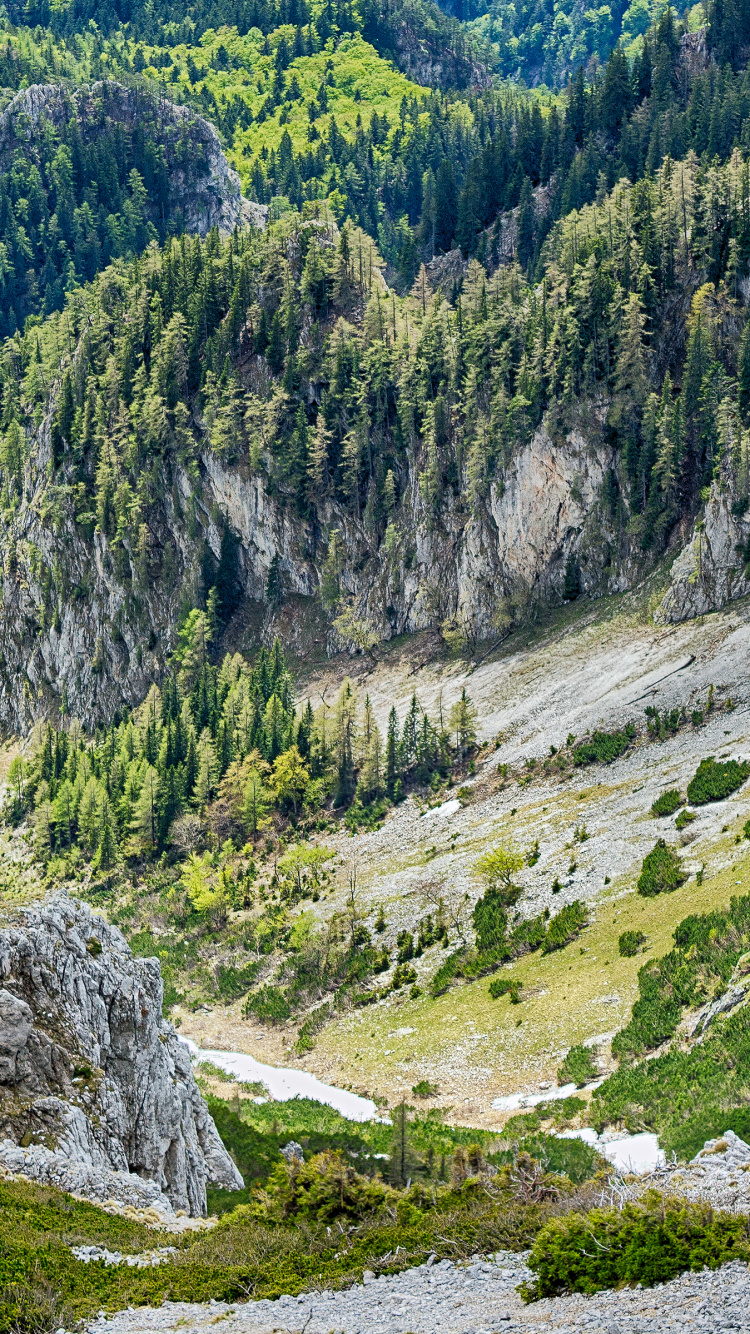 荒野, 首歌, 植物群, 斜坡, 自然景观 壁纸 750x1334 允许