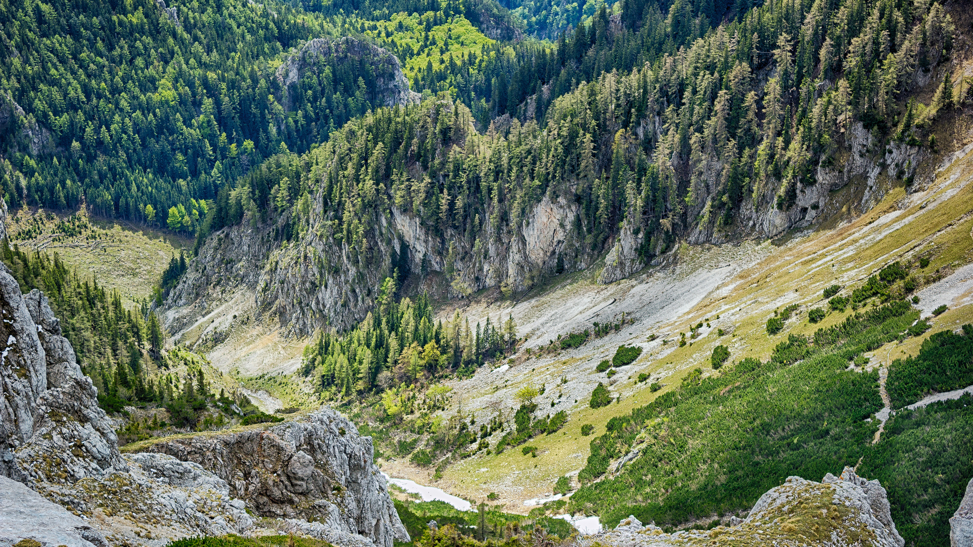 Wilderness, Song, Plant, Plant Community, Mountain. Wallpaper in 1920x1080 Resolution