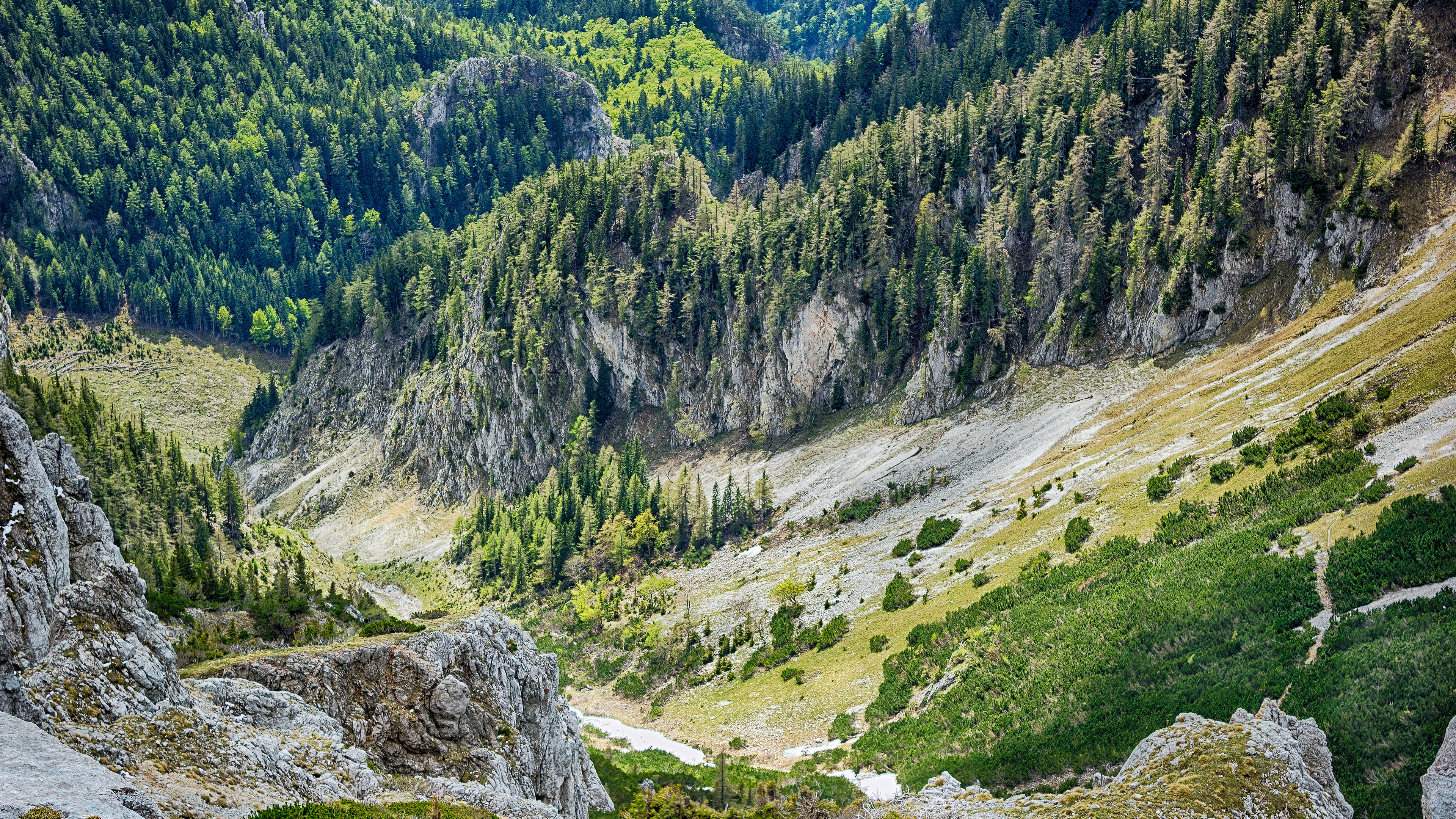 Wilderness, Song, Plant, Plant Community, Mountain. Wallpaper in 3840x2160 Resolution