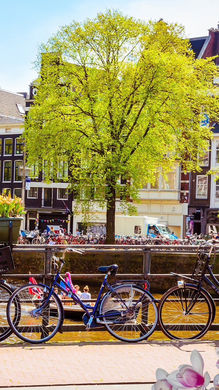 Amsterdam, Gelb, Stadt, Baum, Stadtgebiet. Wallpaper in 720x1280 Resolution