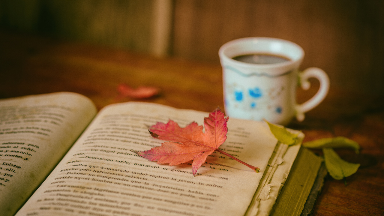 本书, 书评, 阅读, 咖啡杯, 粉红色 壁纸 1280x720 允许