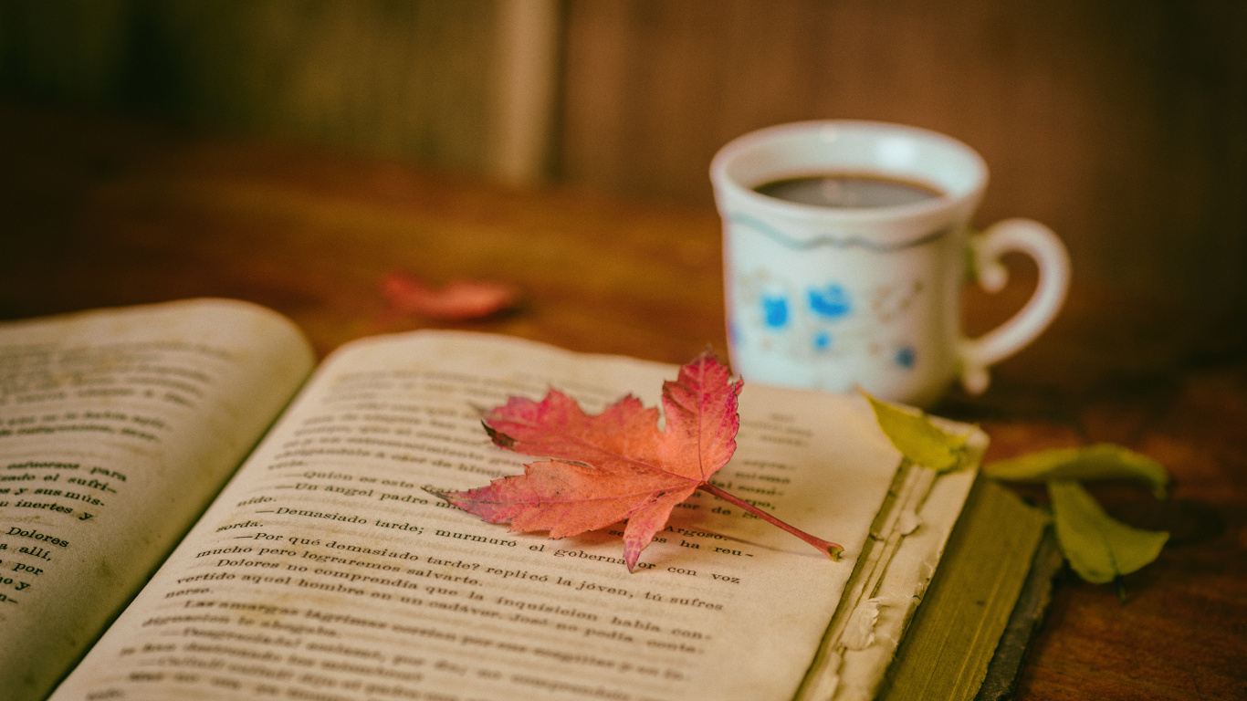 本书, 书评, 阅读, 咖啡杯, 粉红色 壁纸 1366x768 允许