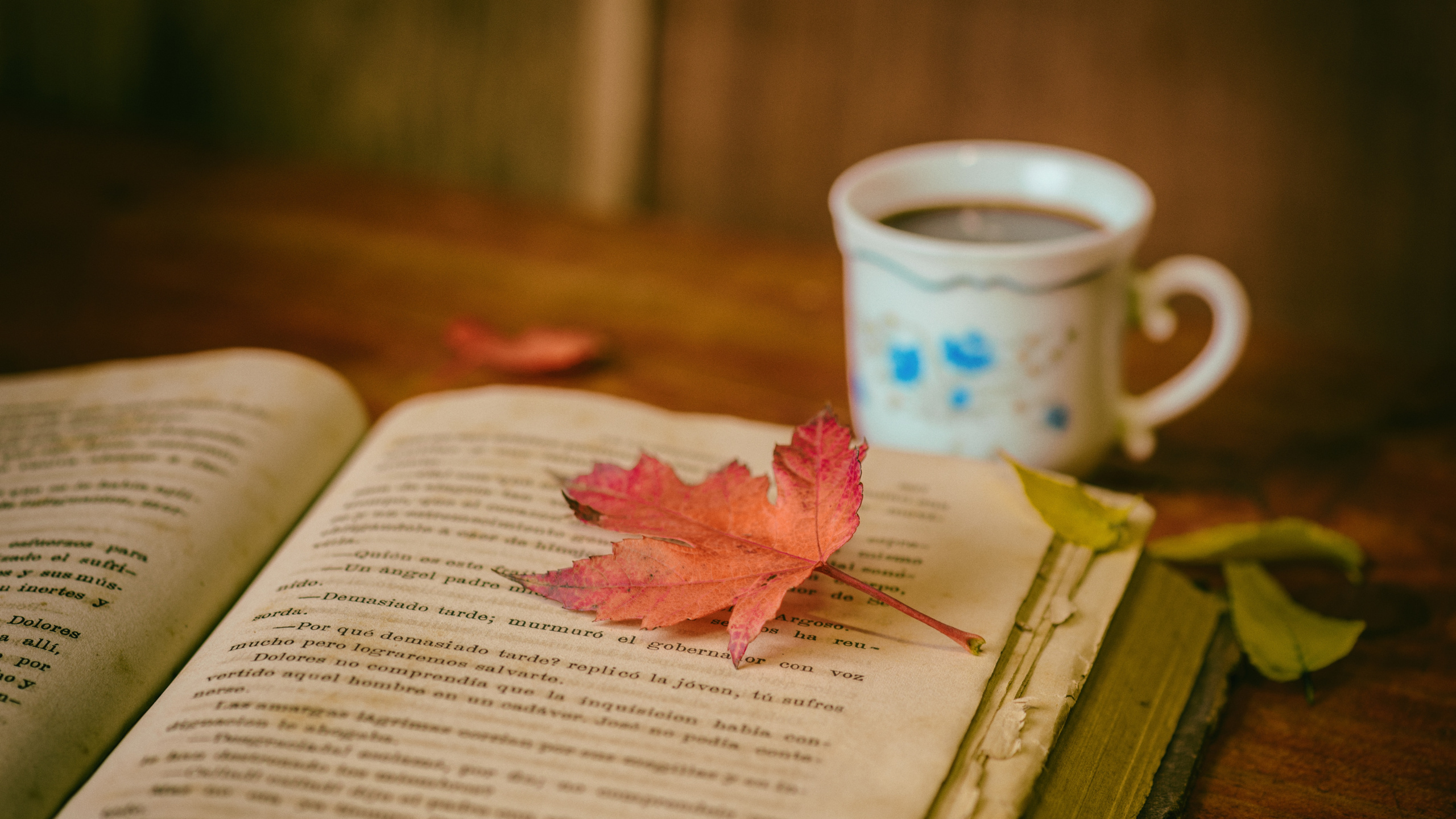 本书, 书评, 阅读, 咖啡杯, 粉红色 壁纸 2560x1440 允许