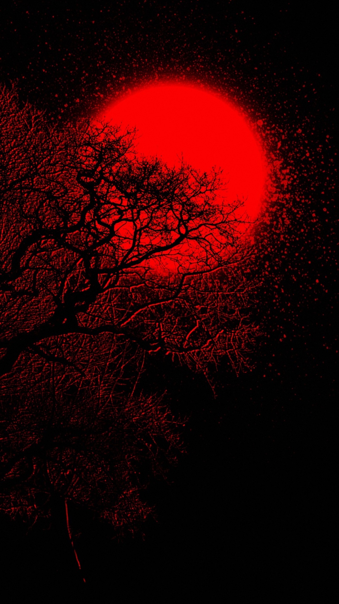 Atmosphäre, Zweig, Pink, Baum, Astronomisches Objekt. Wallpaper in 1080x1920 Resolution