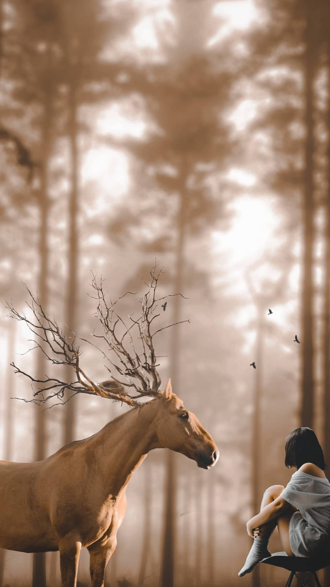 Manchester State Forest, Plant, People in Nature, Branch, Wood. Wallpaper in 1080x1920 Resolution