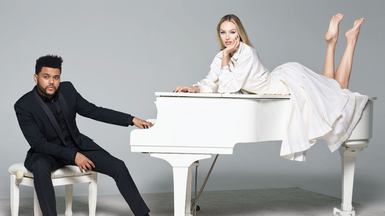 杂志, 坐, 腿, 西装, 家具 壁纸 1280x720 允许