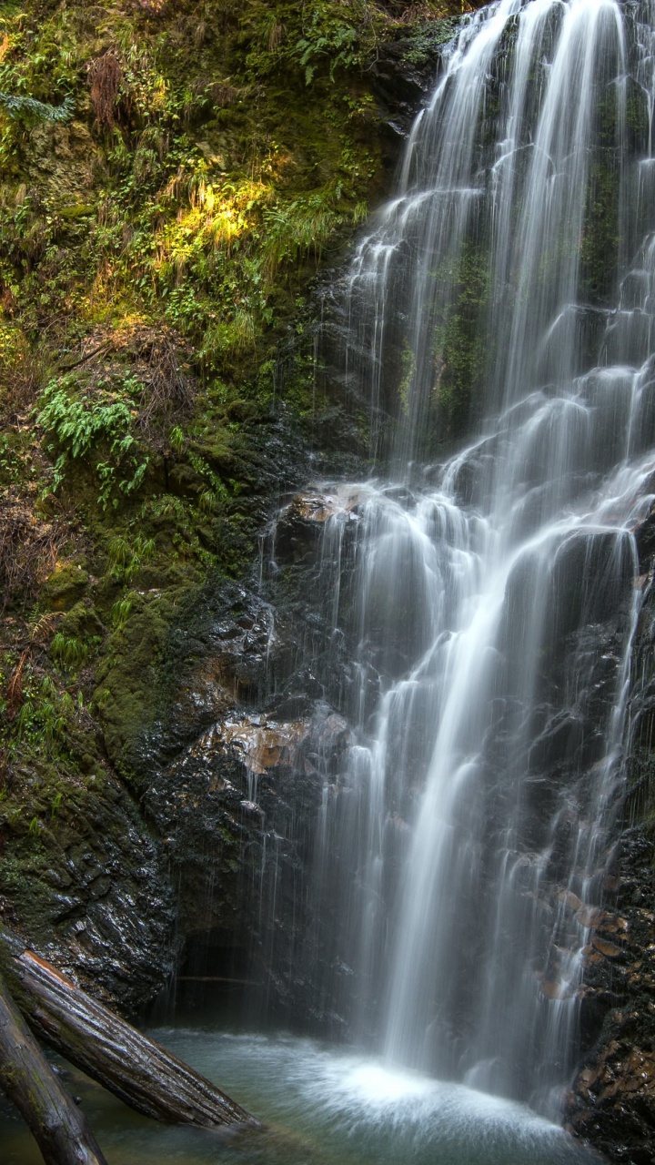 Water Falls in The Middle of Forest. Wallpaper in 720x1280 Resolution