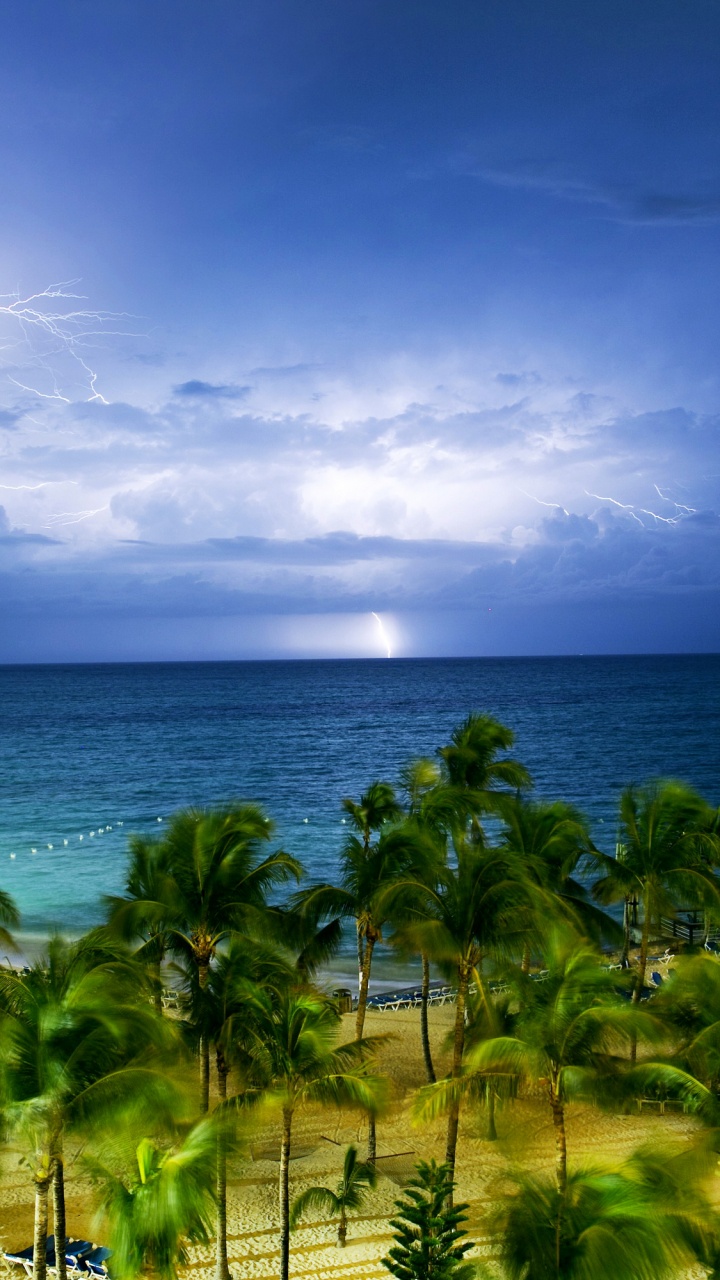 天空, 海洋, 棕榈树, 日落, 岸边 壁纸 720x1280 允许