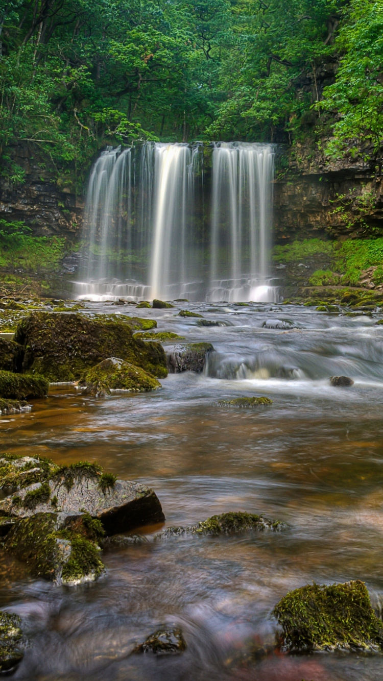 L'eau Tombe au Milieu de la Forêt. Wallpaper in 750x1334 Resolution
