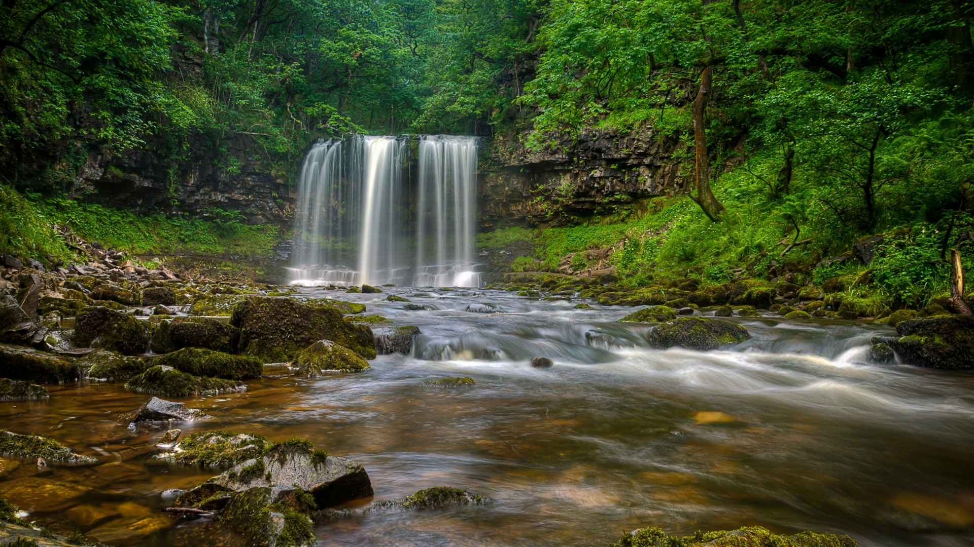 Water Falls in The Middle of Forest. Wallpaper in 1920x1080 Resolution