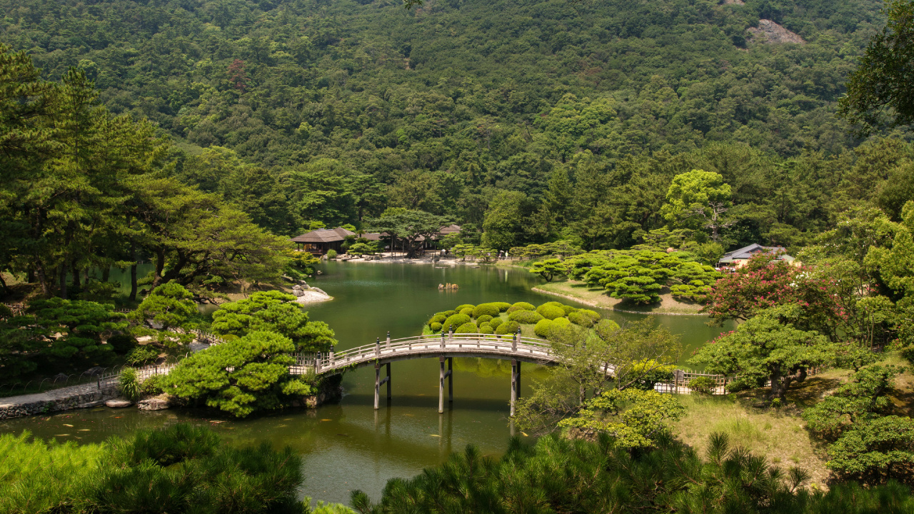 Green Trees Near River During Daytime. Wallpaper in 1280x720 Resolution