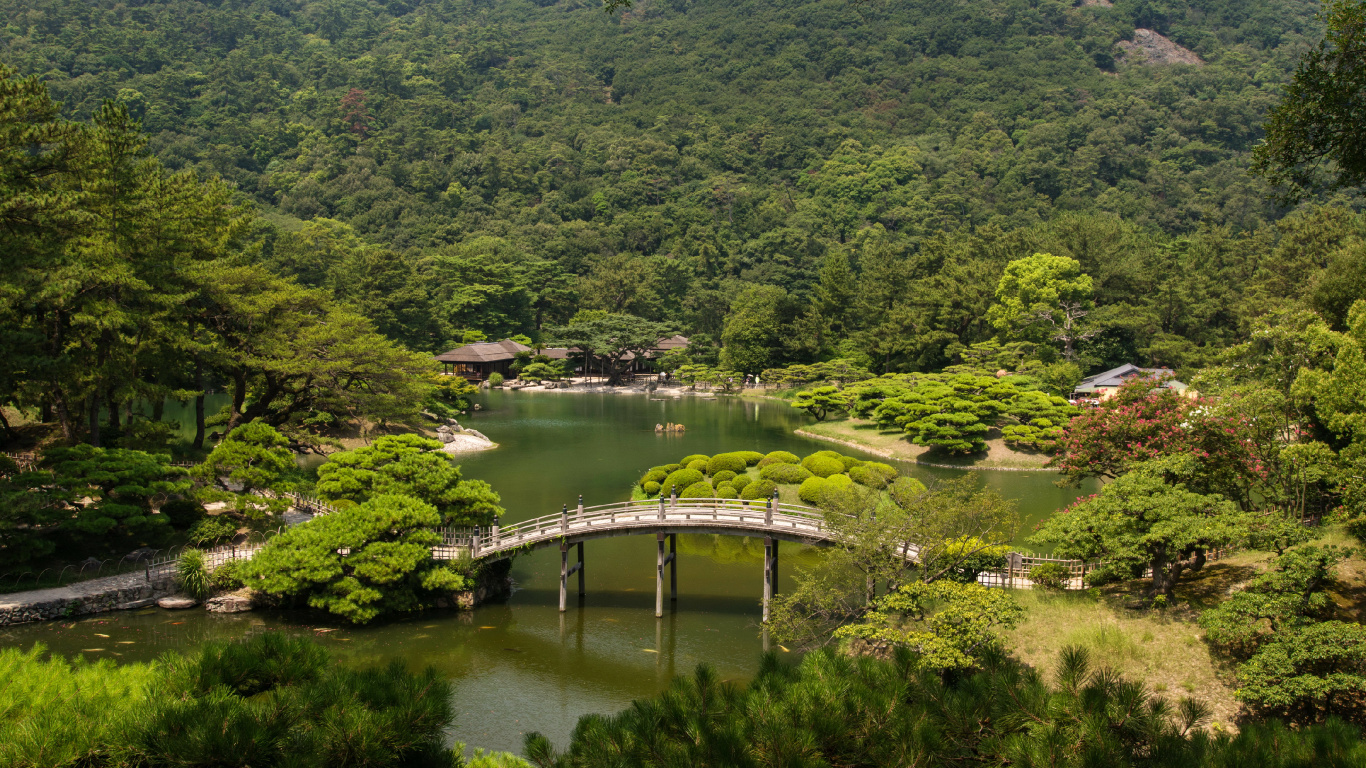 Green Trees Near River During Daytime. Wallpaper in 1366x768 Resolution