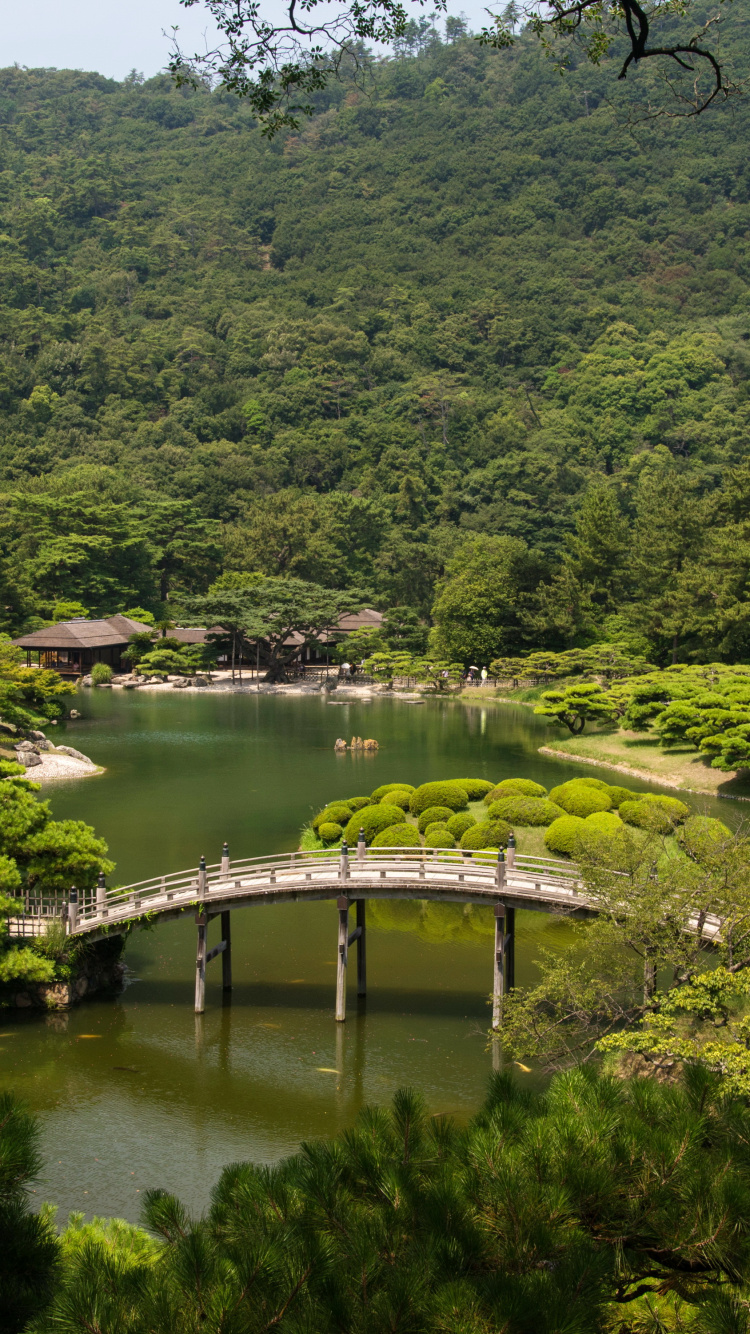 Green Trees Near River During Daytime. Wallpaper in 750x1334 Resolution